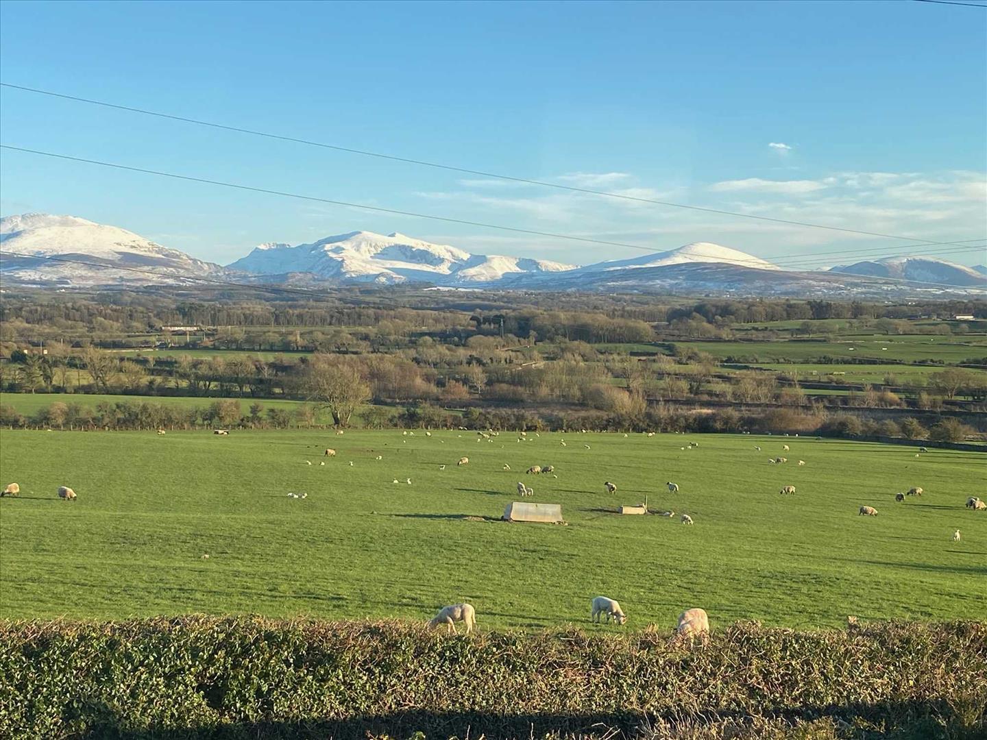 Star, Gaerwen